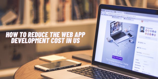 reduce web app development cost