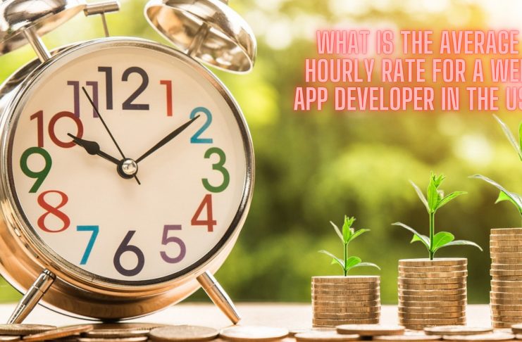 Web Developer Salary Banner